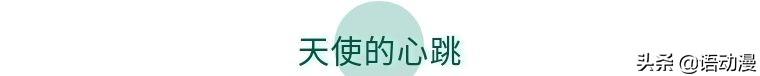 语动漫史上最全“催泪番”整理，喜欢请抱走