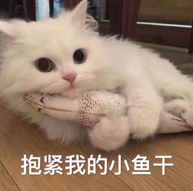 这是僵尸吗？遭“重拳出击”，第一季消失，第二季改名回归