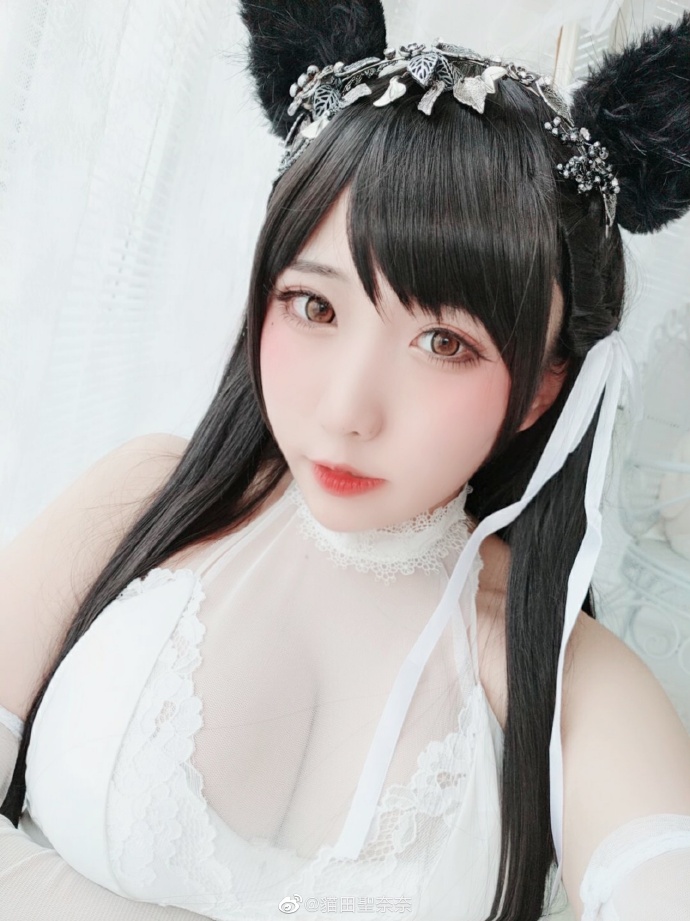 碧蓝航线 cosplay爱宕犬