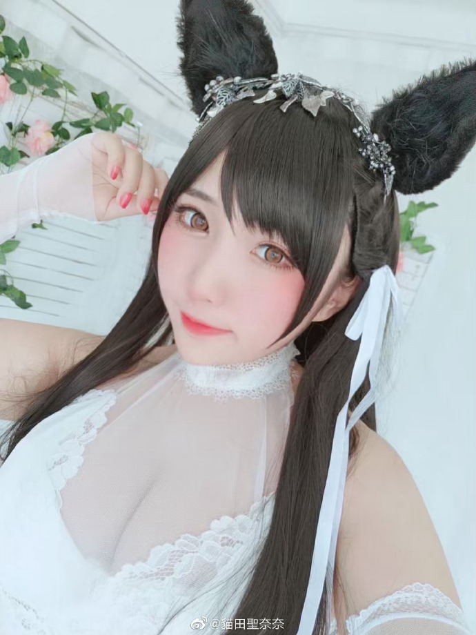 碧蓝航线 cosplay爱宕犬