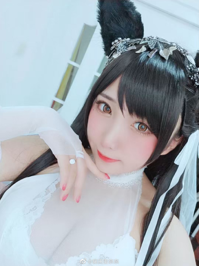 碧蓝航线 cosplay爱宕犬