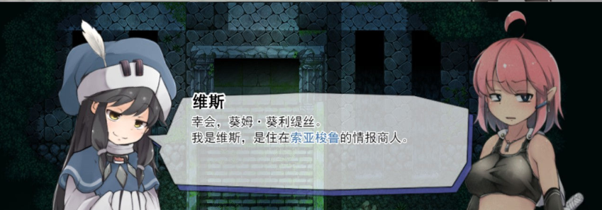 遗迹探索者 官中文PC版，有全CG存档，是新作加全CV