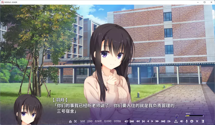 Riddle Joker 官方中文版